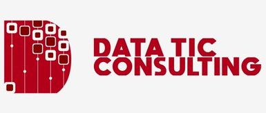 Datatic Consulting